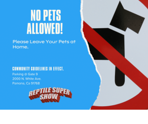 No Pets