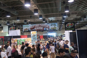 The best reptile expo.